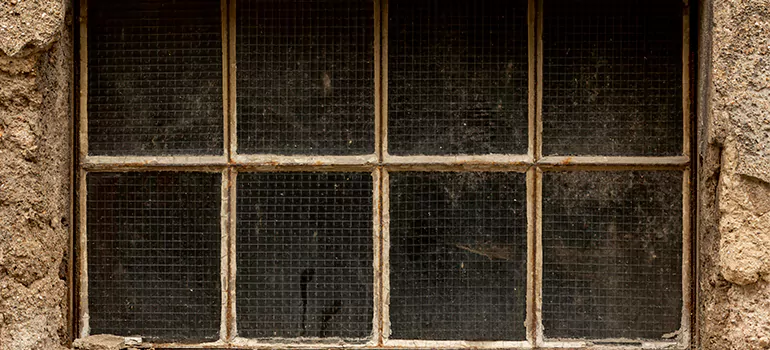 Traditional Double Front Doors in North Port, FL