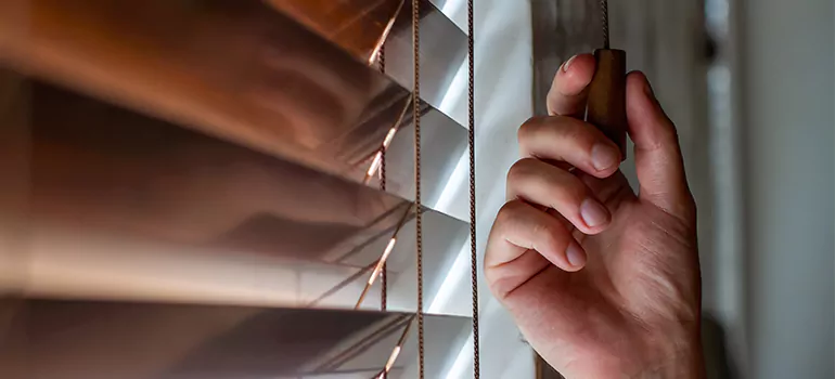 Double Roller Blinds in North Port, FL