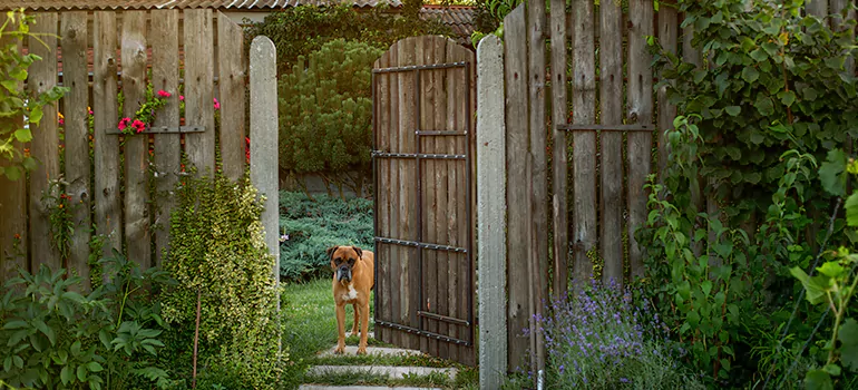Winter Garden Garage Door Repair in North Port,[location field=state]