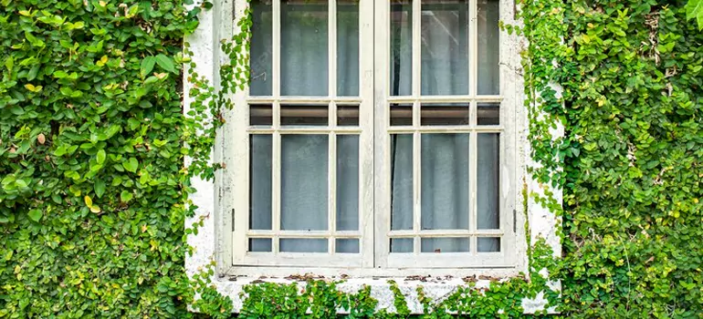 Garden Window Repair Near Me in North Port, FL