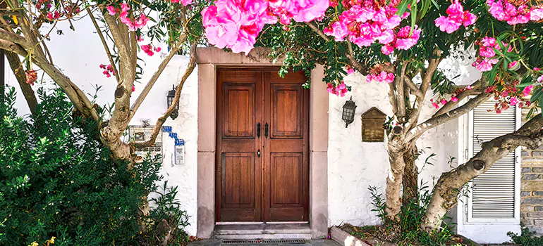 Traditional 4 Panel Internal Doors in North Port, FL