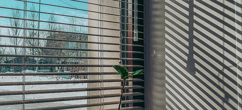 Commercial Window Blinds in North Port, FL