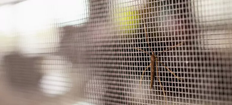 Repair Mosquito Mesh For Windows in North Port, FL
