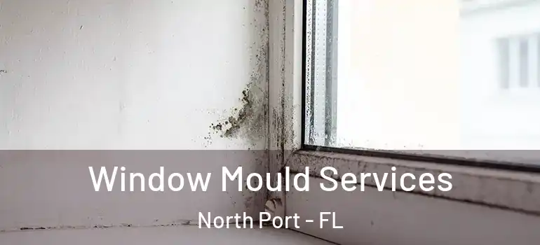 Window Mould Services North Port - FL